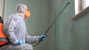 Why You Should Choose Our Mold Remediation Services in Moyock, NC