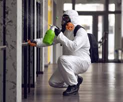 Mold Remediation for Rental Properties in Moyock, NC